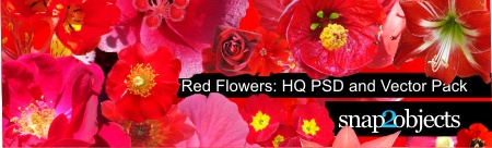 header_red_flowers.jpg