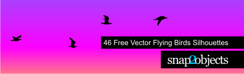 header_flying_birds