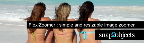 header-flexizoomer header-flexizoomer