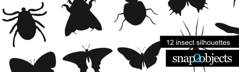 header insects